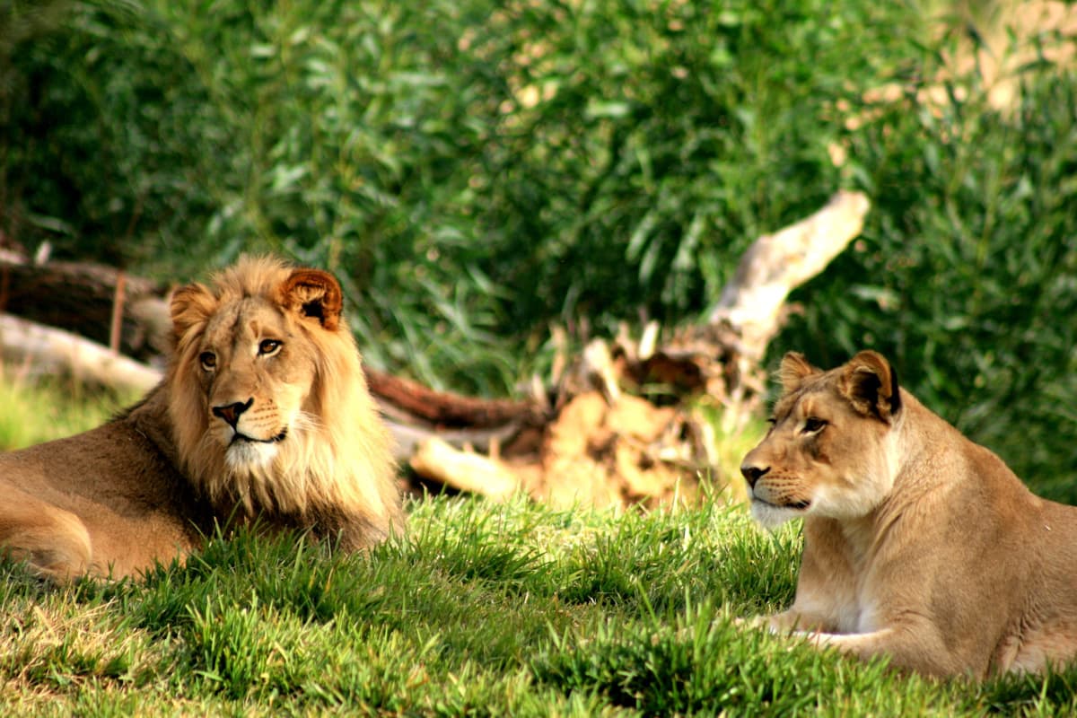 Go City Philadelphia Explorer Pass: Save up to 50% on Attractions