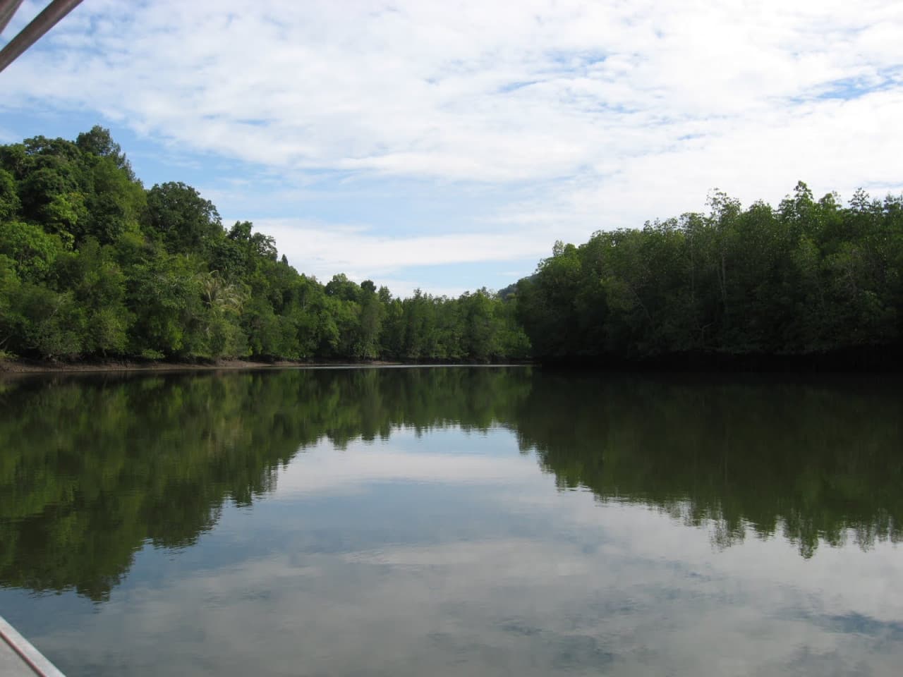 Langkawi Mangrove Cruise and Snorkeling – photo 2