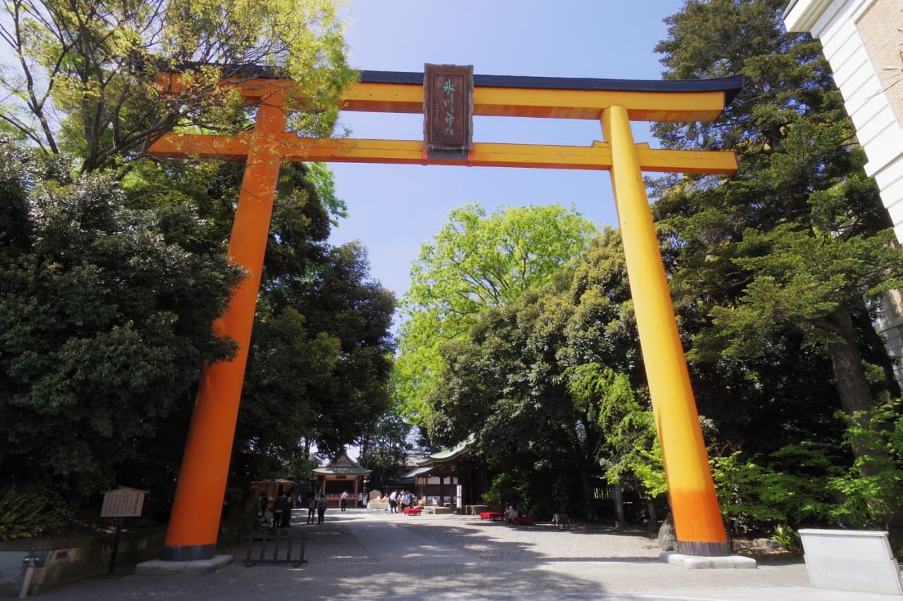 Seibu 1-Day Pass – photo 3