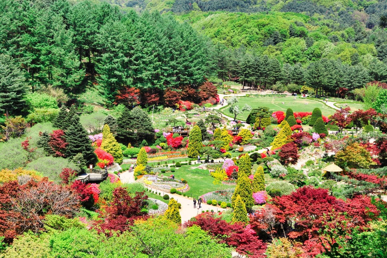 Nami Island, Mount Seorak, and Garden of Morning Calm Full-Day Tour from Seoul – photo 26