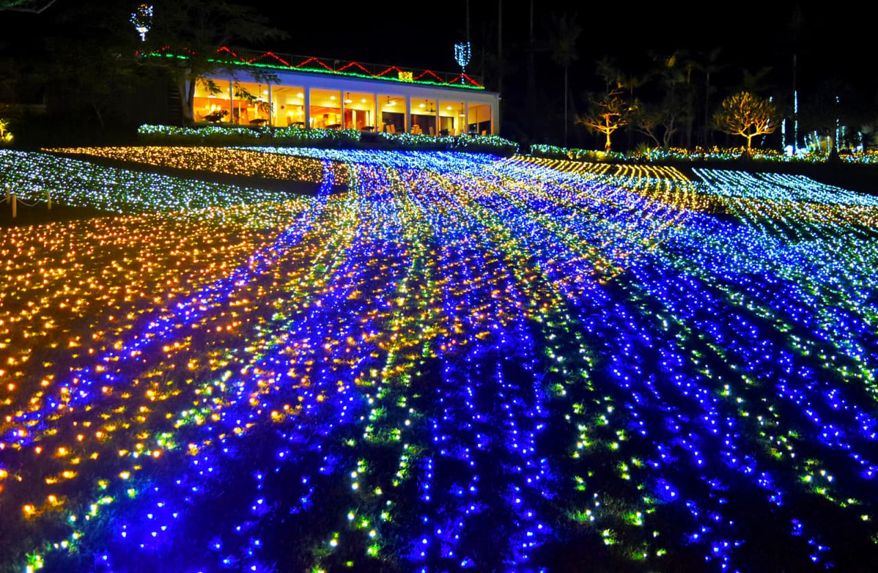 Okinawa Southeast Botanical Gardens – photo 19