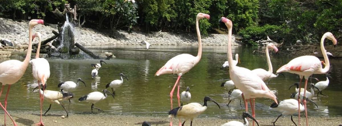 Neo Park Okinawa