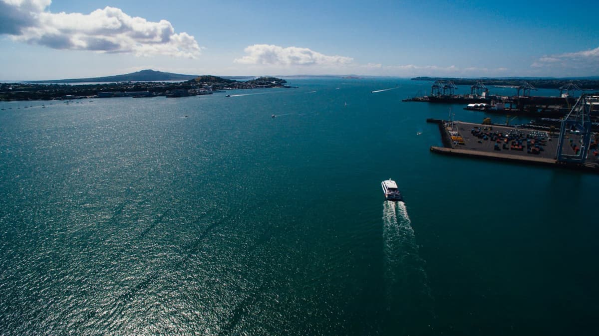 Auckland Harbour Cruise