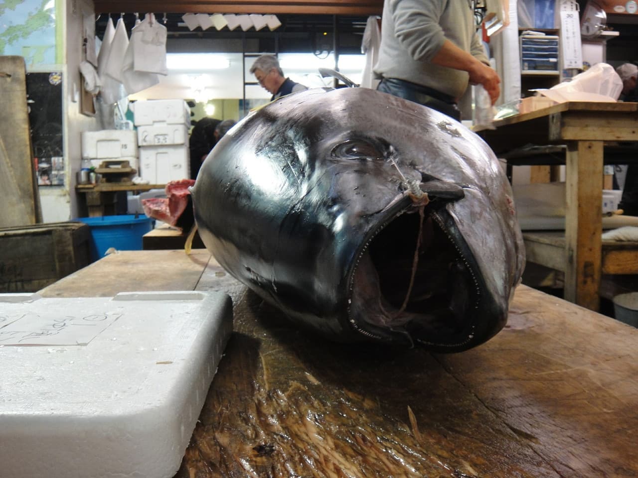 Tsukiji Outer Market Breakfast Tour – photo 4
