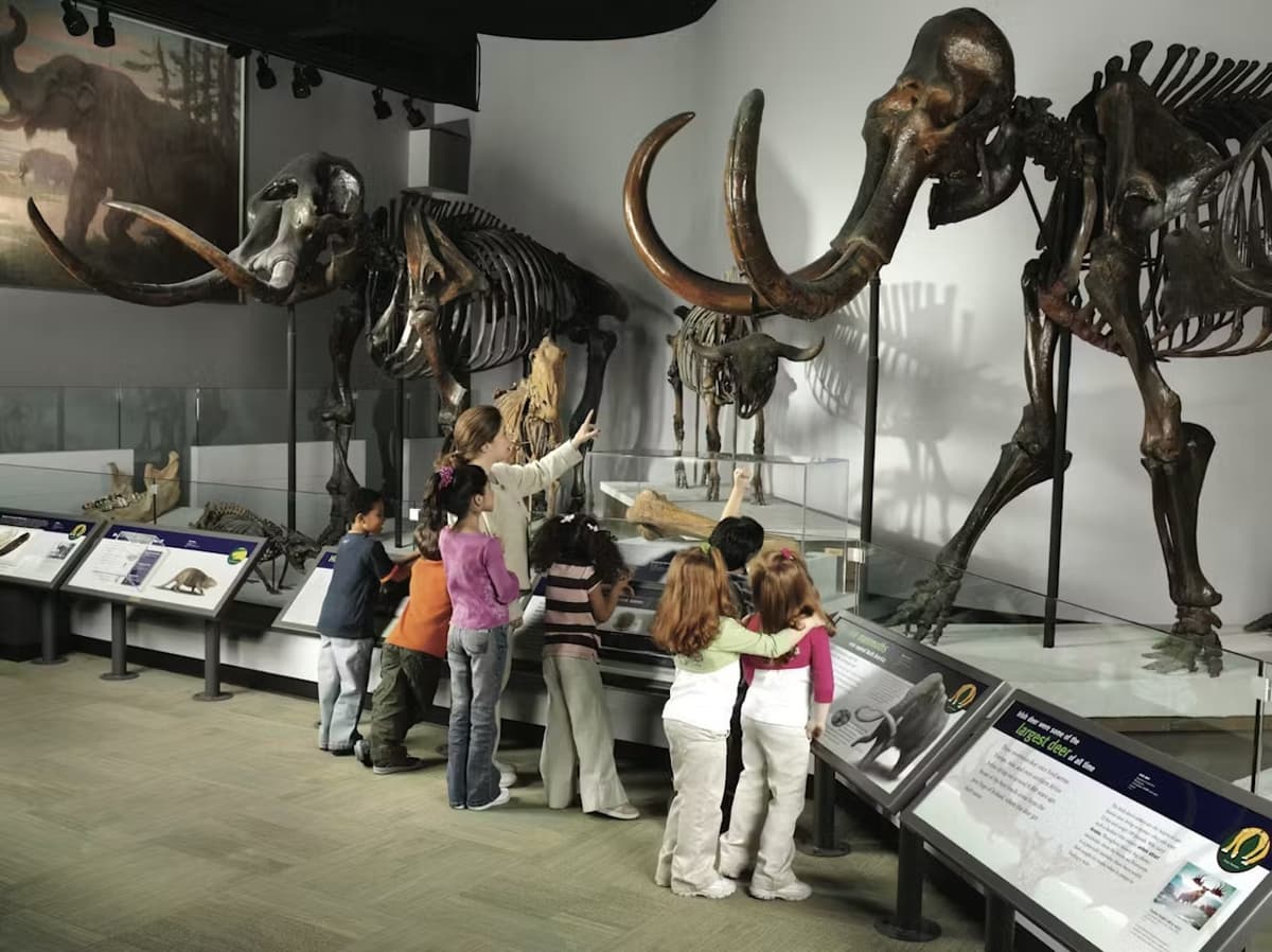 The Field Museum of Natural History Ticket
