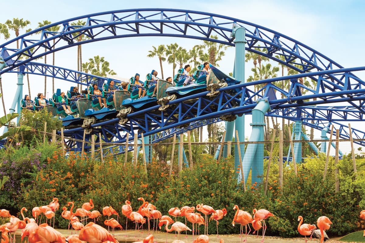 SeaWorld San Diego Ticket: Direct Entry
