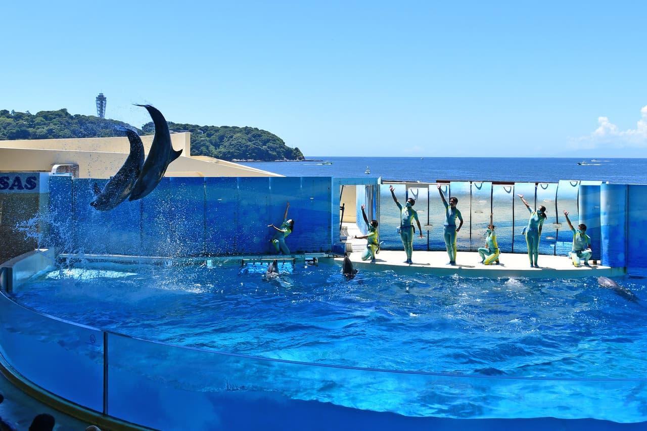Enoshima Aquarium – photo 3