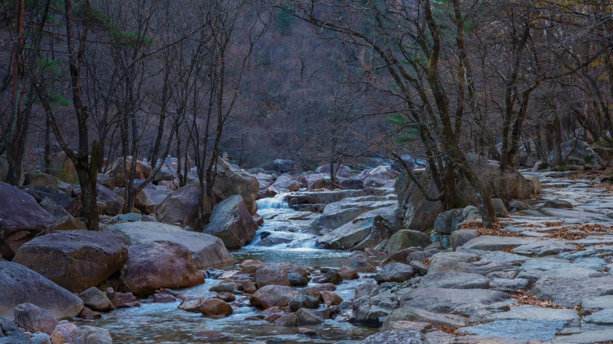Mount Seorak and Naksansa Temple Tour from Seoul
