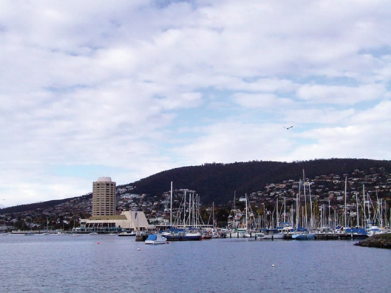 Sullivan's Cove and Hobart City Tour – photo 19