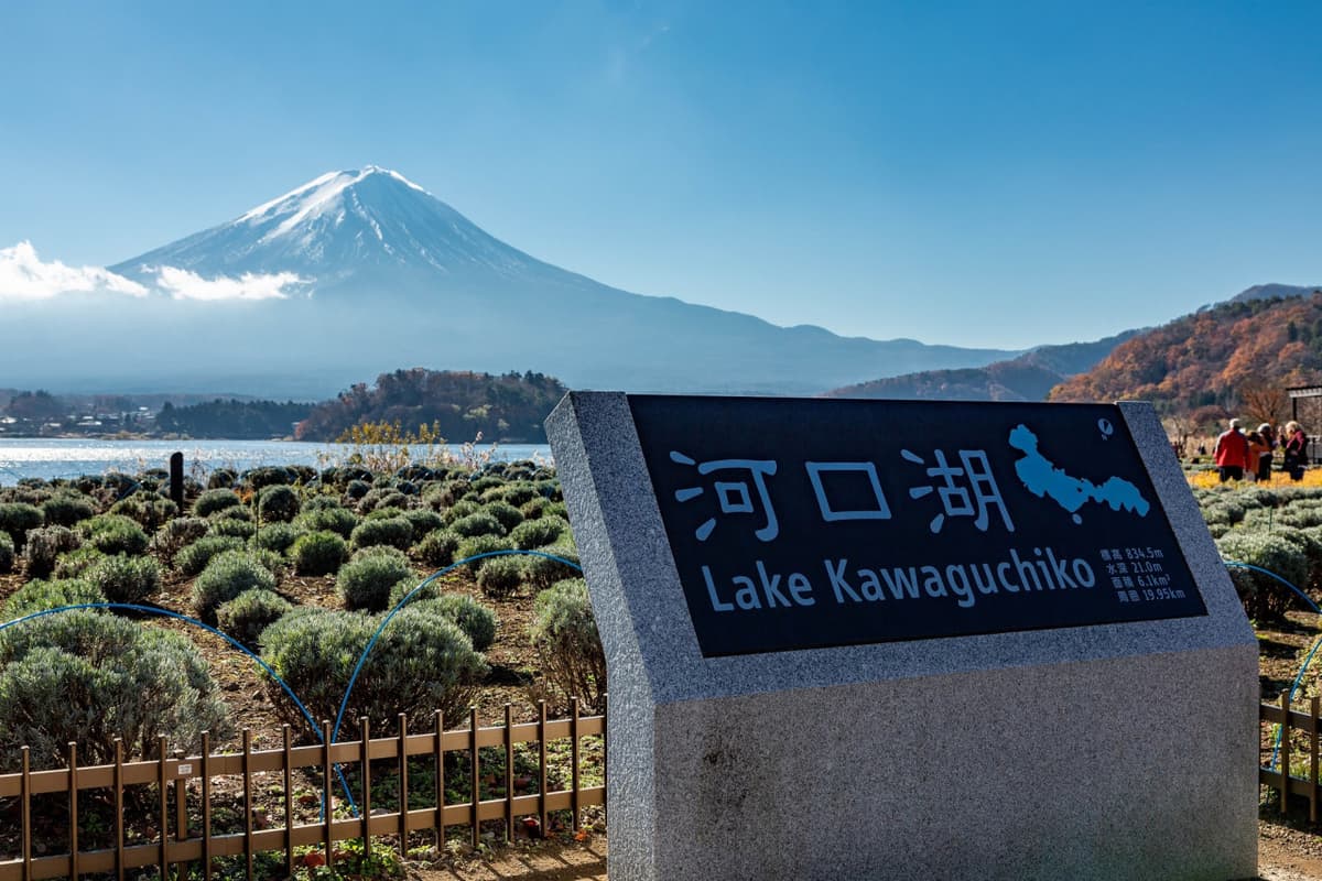 Mount Fuji and Arakurayama Sengen Park 1 Day Bus Tour