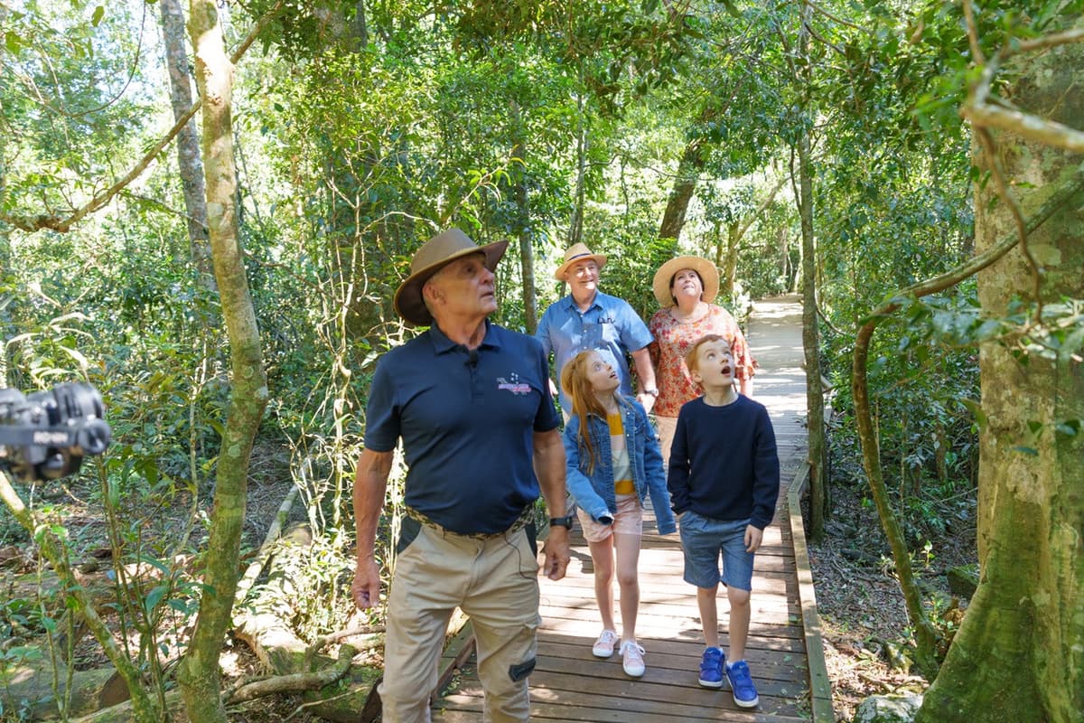 Lamington National Park Tour: O'Reilly's Rainforest Retreat and Canungra Valley Vineyard