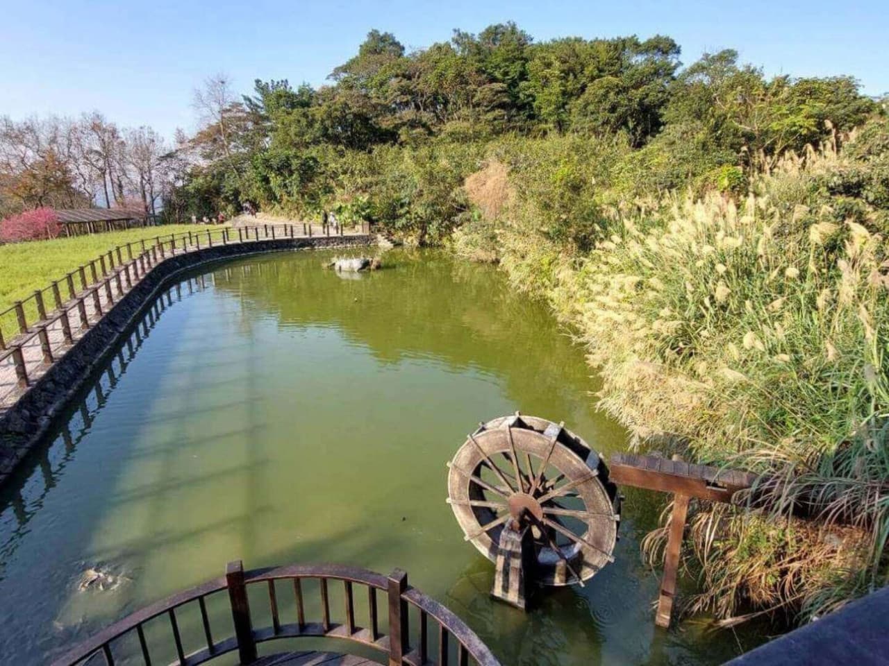 Pinglin Tea Culture and Maokong Full-Day Tour from Taipei – photo 15