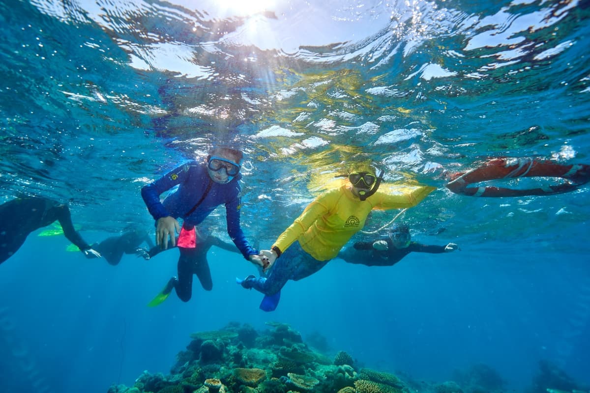 Green Island Great Barrier Reef Half Day Tour from Cairns