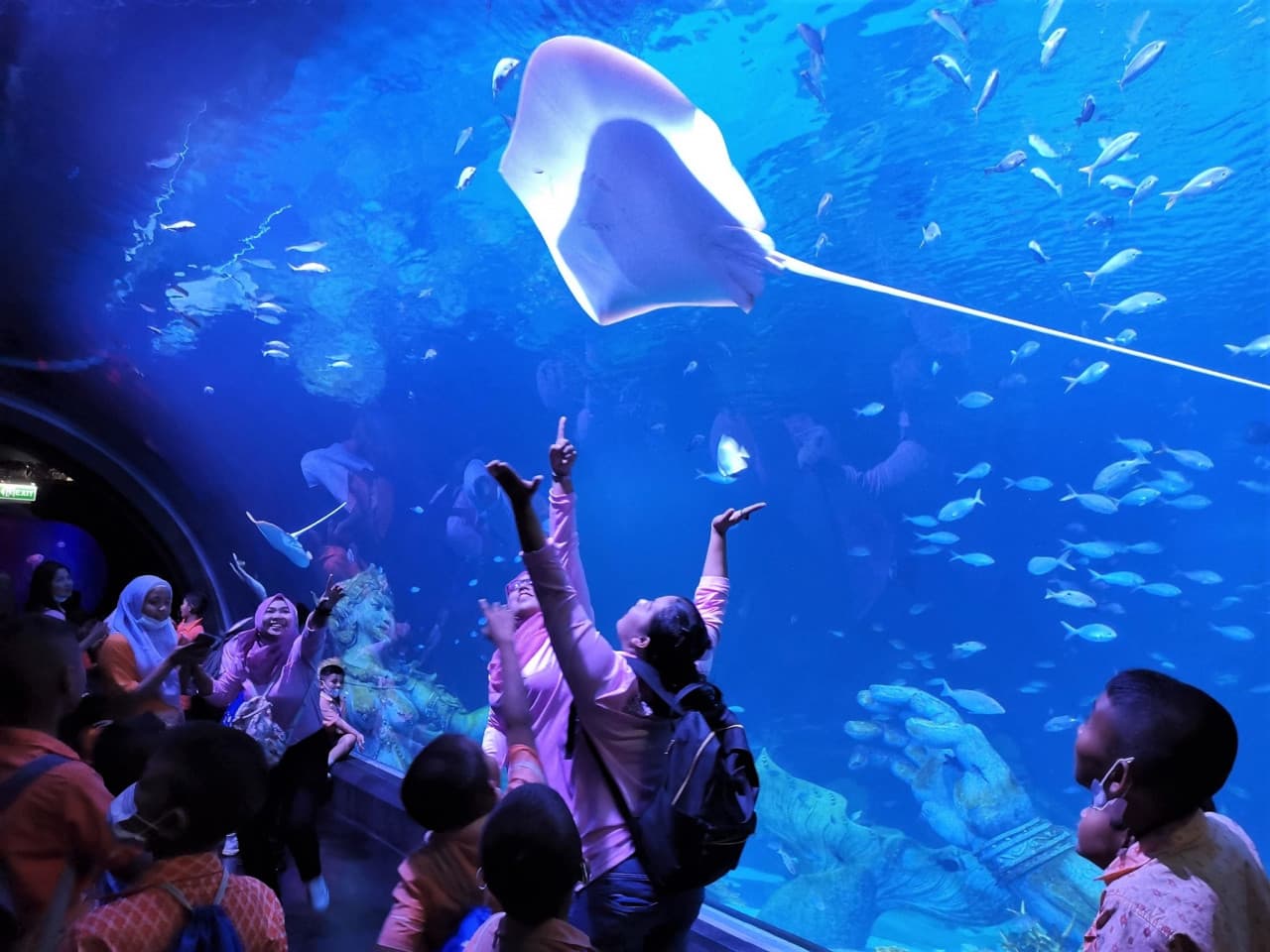 Aquaria Phuket – photo 5