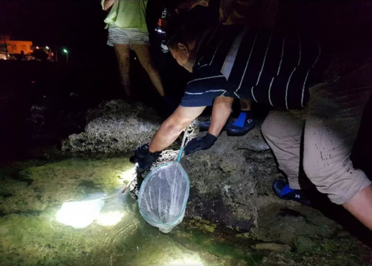 Houbi Lake Night Tour from Kenting