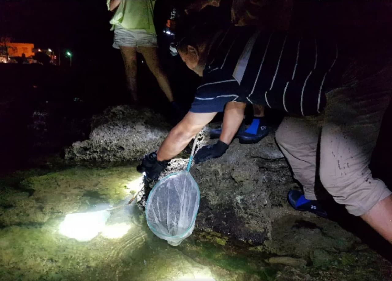 Houbi Lake Night Tour from Kenting