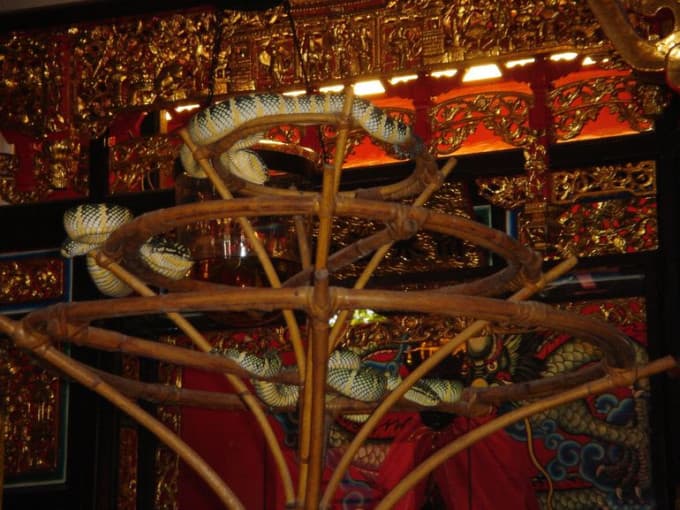 Penang Round Island Tour