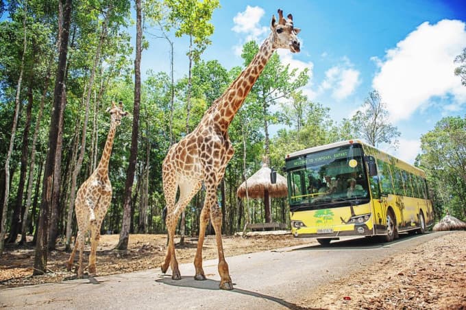 Vinpearl Safari Phu Quoc Ticket