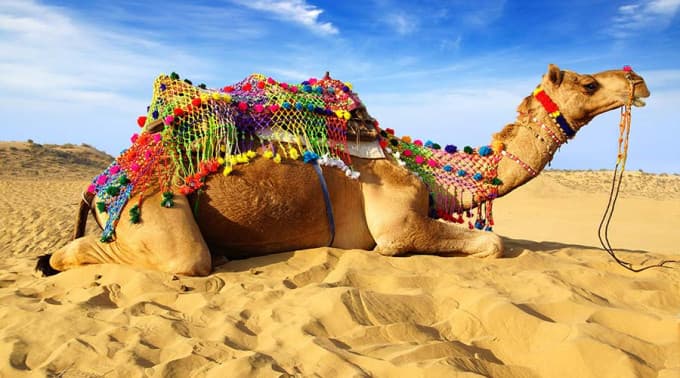 Morning Desert Safari Tour from Dubai