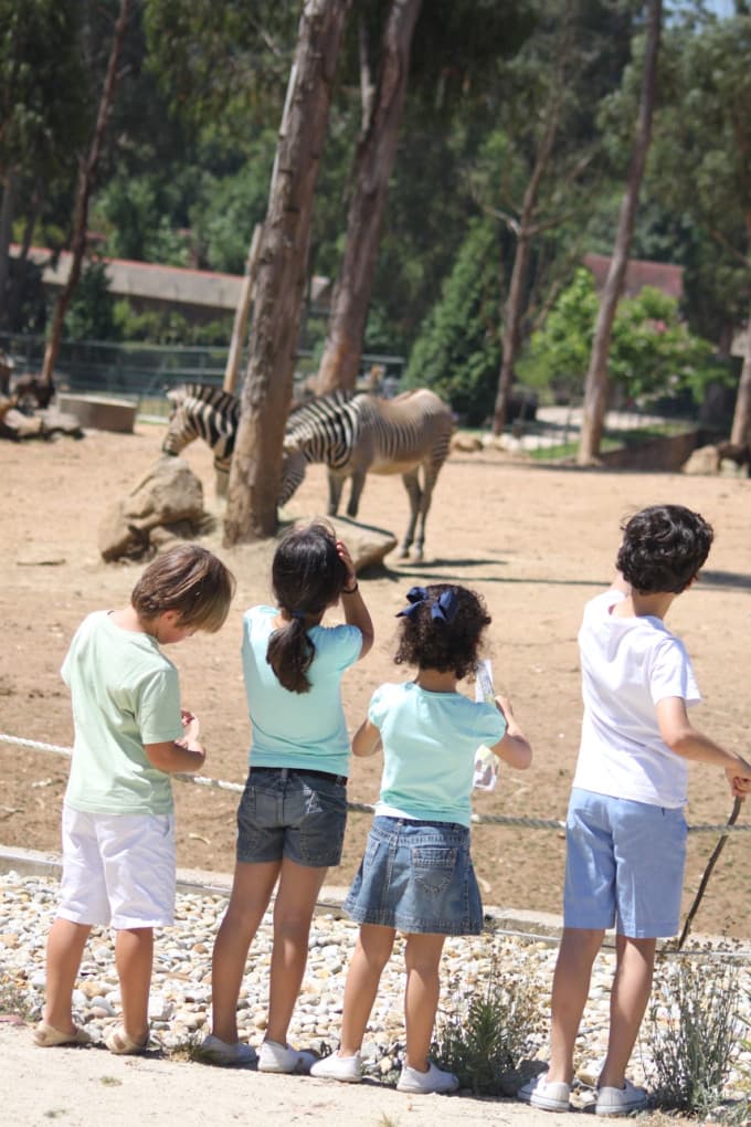 Zoo Santo Inácio Ticket