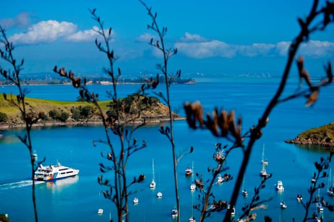 Auckland Harbour Cruise
