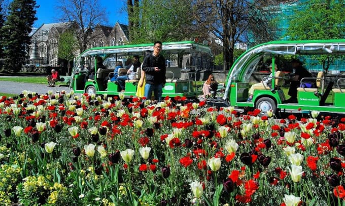 Christchurch Attractions - Christchurch Botanic Gardens - CHCTDCBGCHCDAYA