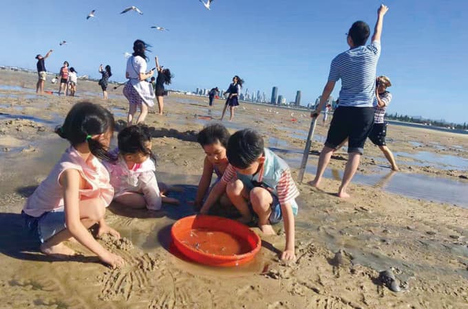 Gold Coast Crab Catching Cruise