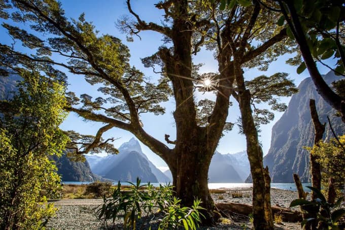 Doubtful Sound Wilderness Cruise – photo 5