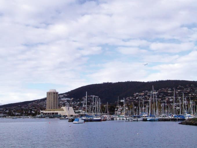Bonorong Wildlife Sanctuary and Hobart City Tour