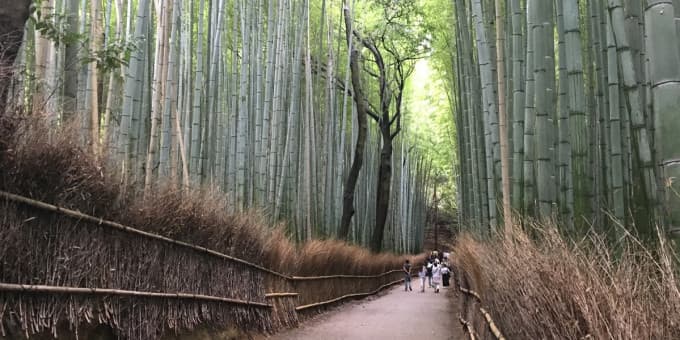 Kyoto Food and Drink Tour - Arashiyama