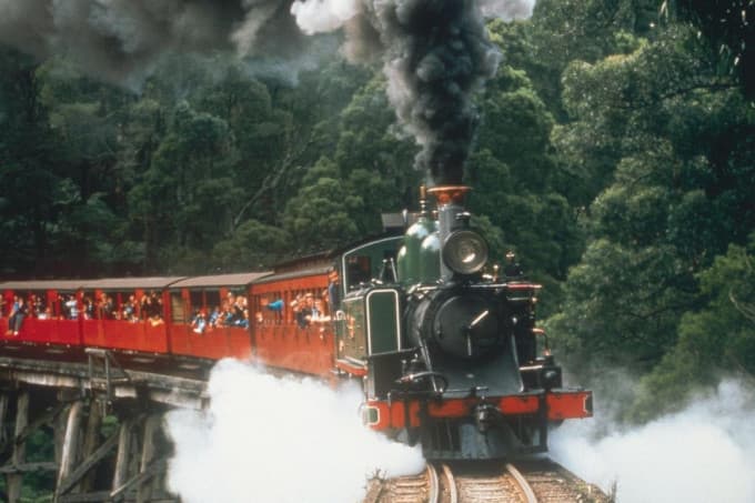 Puffing Billy and Healesville Sanctuary Tour