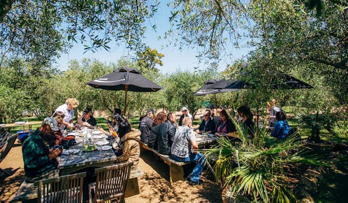 Waiheke Wine Tasting Tour