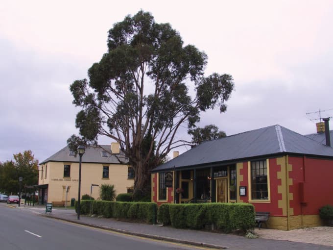 Mount Wellington and Hobart City Tour