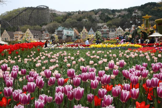 Everland Theme Park Ticket – photo 21