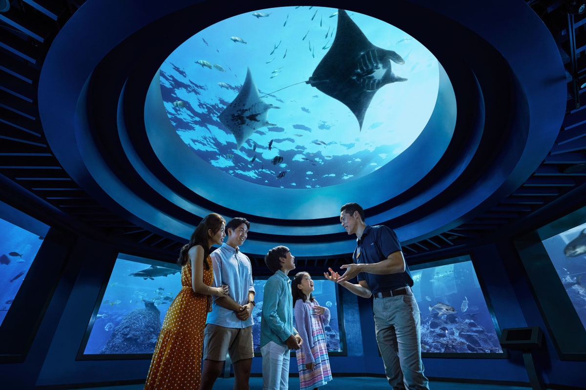 COMBO: Singapore Oceanarium + Albatross Hop-On Hop-Off Speedboat Tickets