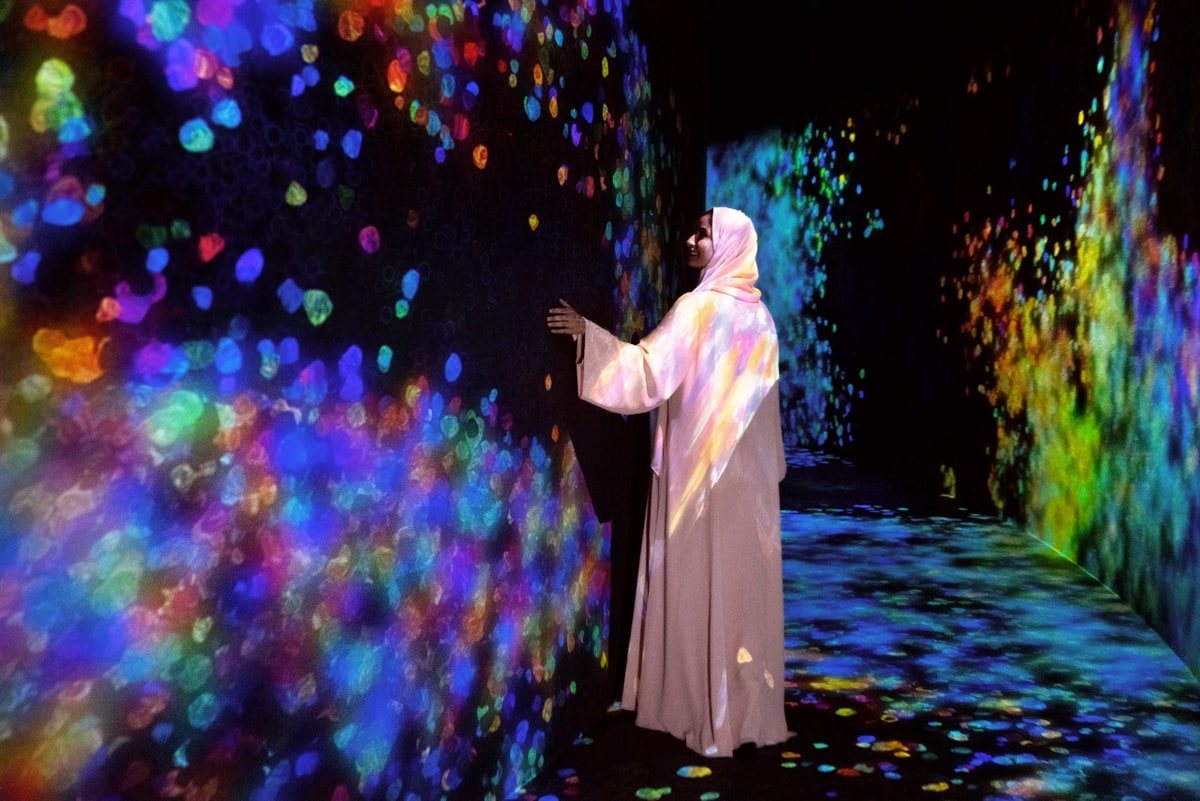 COMBO: teamLab Phenomena Ticket + Big Bus Abu Dhabi Hop-on Hop-off Bus Tour