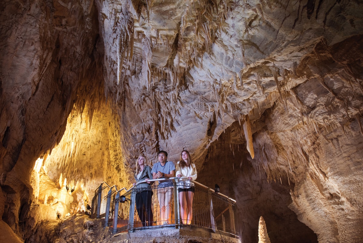 Waitomo Glowworm Caves Tour from Rotorua