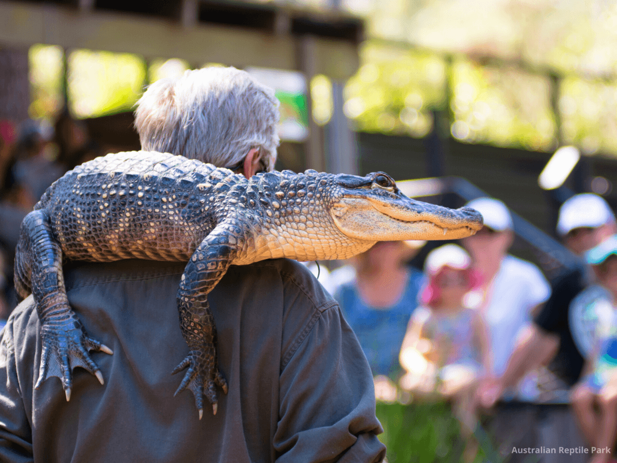 Australian Reptile Park