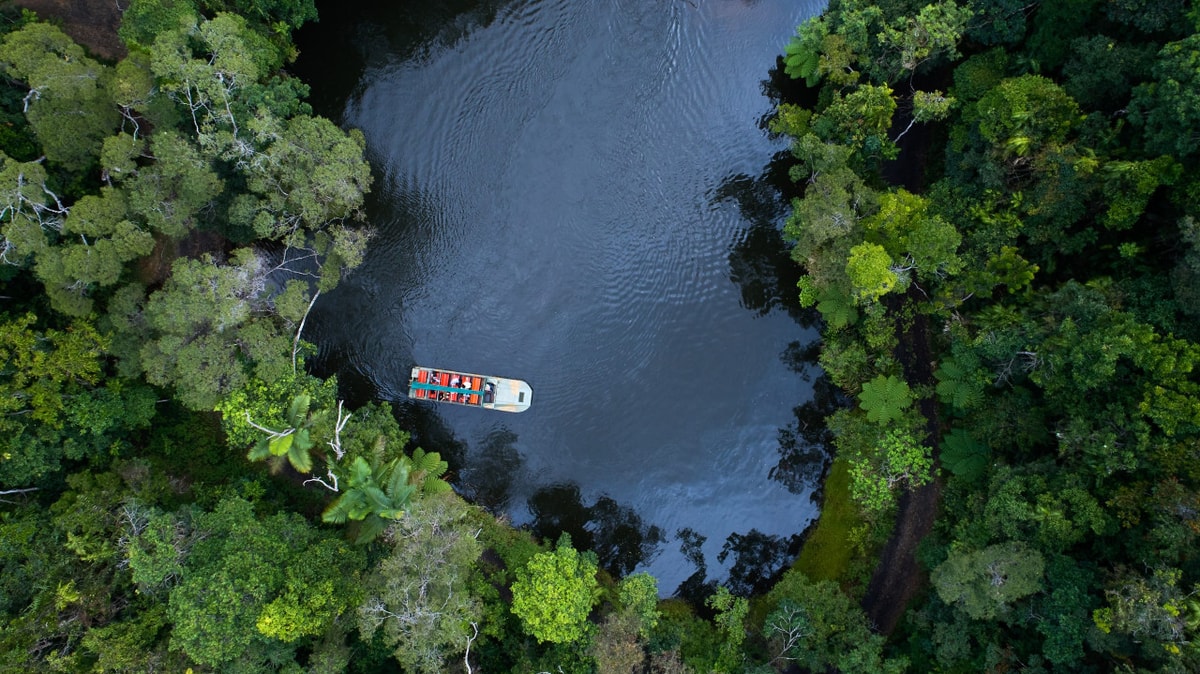 Kuranda Rainforestation Nature Park Full-Day Tour from Cairns