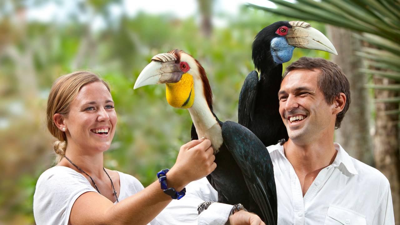 Bali Bird Park Ticket