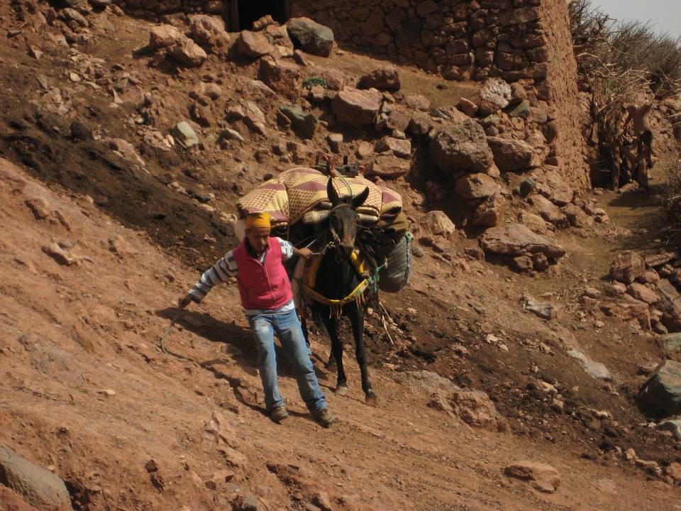 Berber Trail Full-Day 4WD Tour from Marrakech