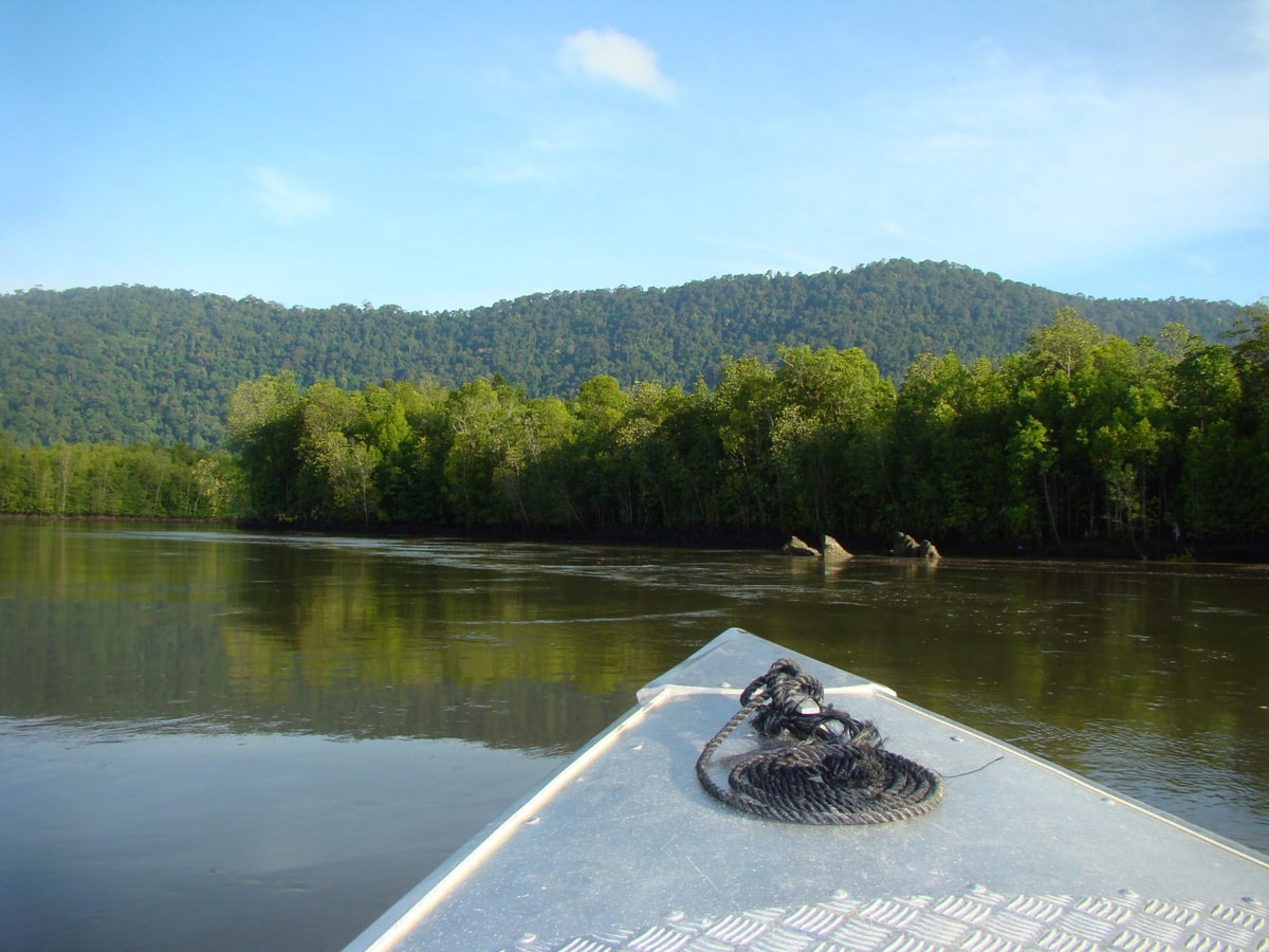 Langkawi Mangrove Cruise and Snorkeling