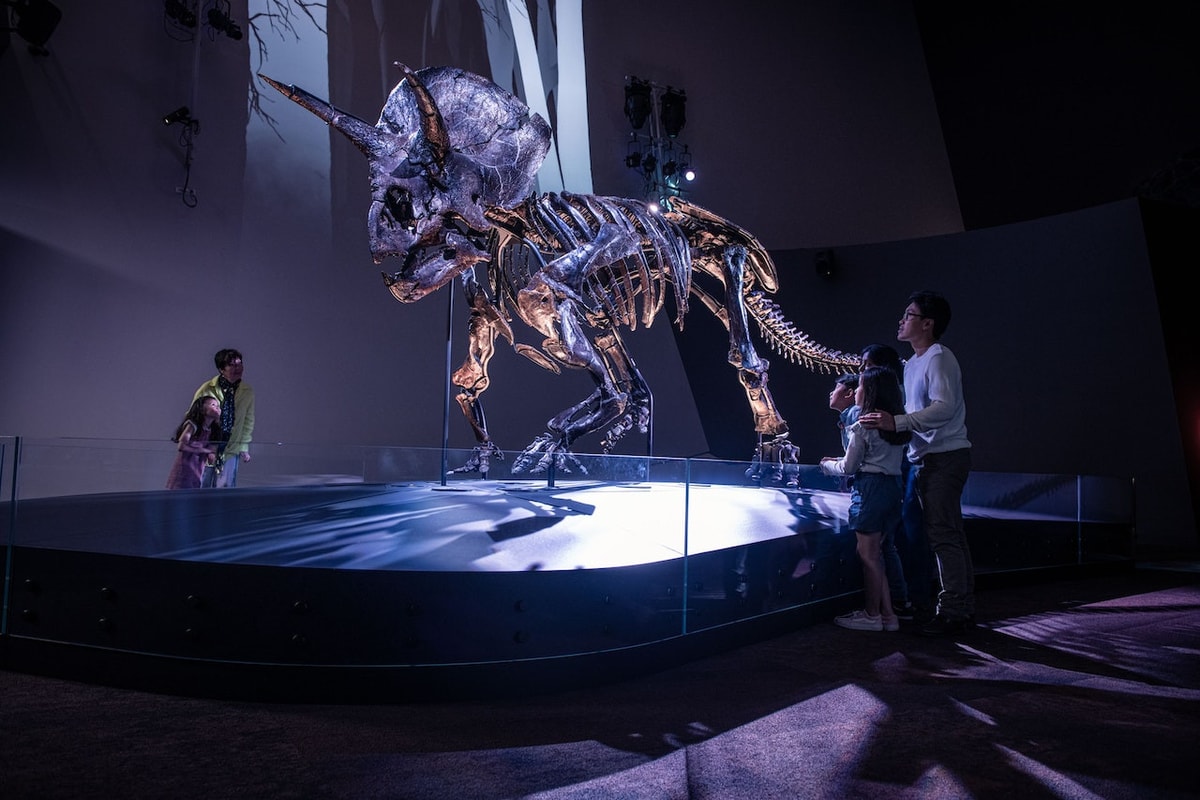Melbourne Museum