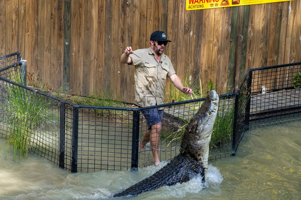 Hartley's Crocodile Adventures