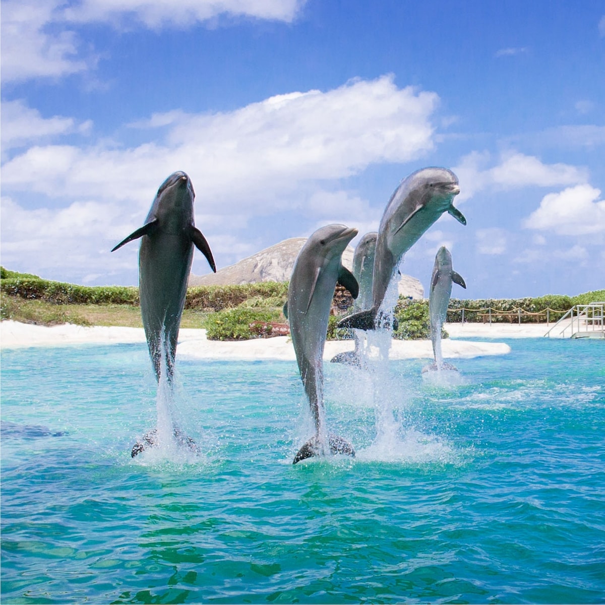 Sea Life Park Hawaii