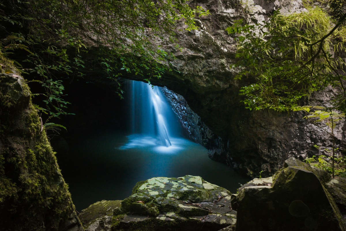 Springbrook National Park Night Tour