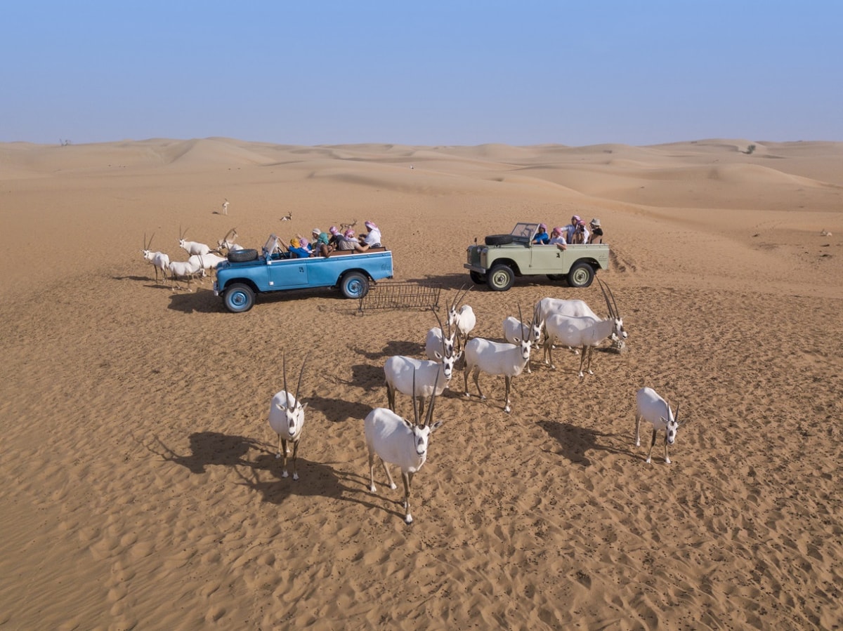 Heritage Dubai Desert Safari