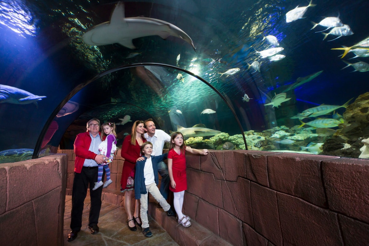 SEA LIFE Hannover Aquarium Ticket