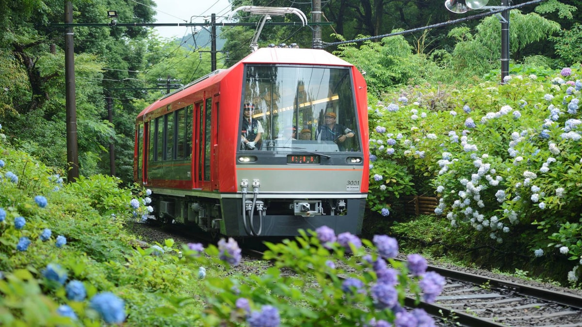 Hakone Freepass