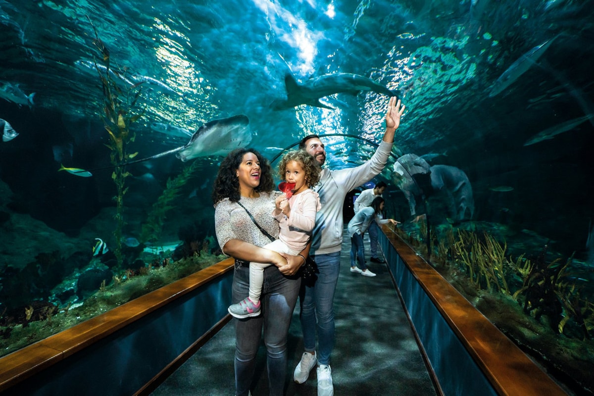 Loro Parque Ticket
